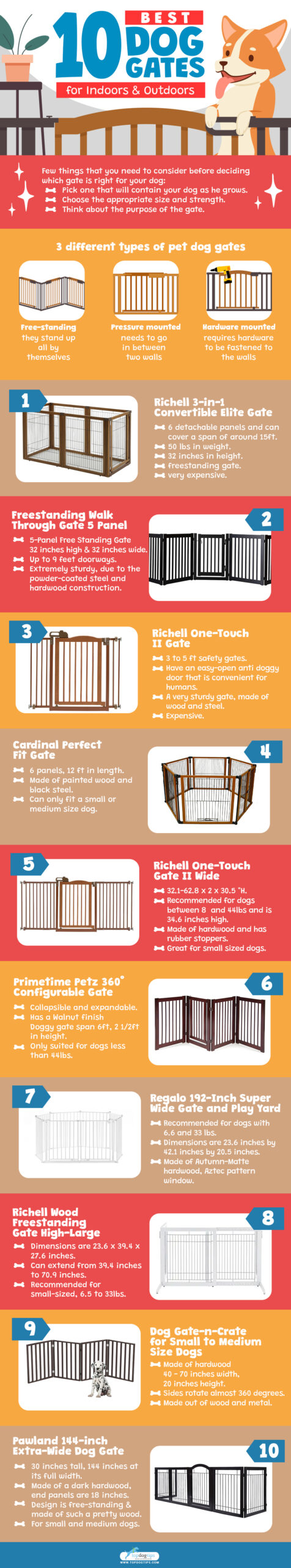 10 Best Dog Gates for Indoors & Outdoors Infograph