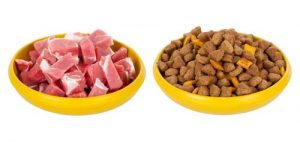 Dry or wet puppy food