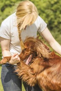 Lowest dog trainers salary