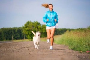 exercise dog to stop barking