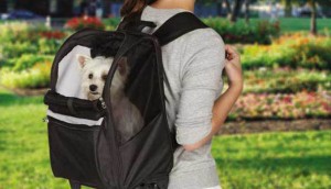 Benefits of a Dog Backpack Carrier & Why I Love Them