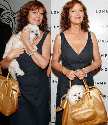 Susan Sarandon Dog Backpack Carrier