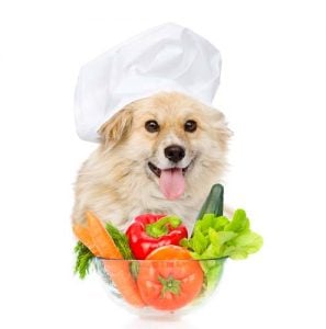 Best Natural Homemade Dog Food Recipes