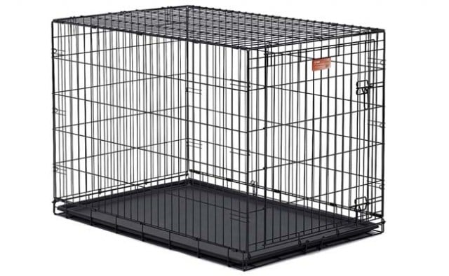 Dog Cage for Sale - Where to Buy