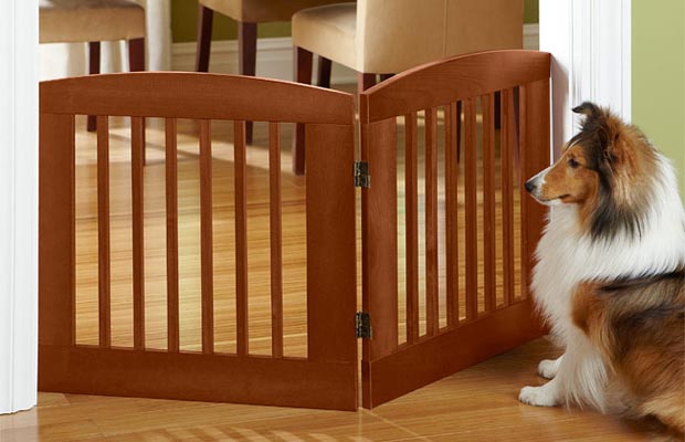 How to Choose Dog Gates and Playpens for Dogs