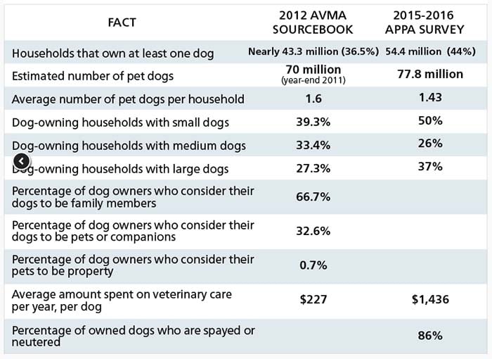 Number of dogs in the United States