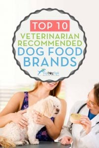 Top Vet Recommended Dog Food Brands