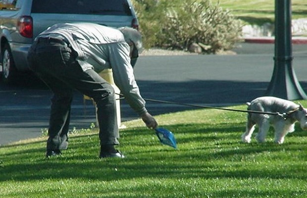 Bensie Boy Dog Waste Bags Helping to Stop Issues in Minnesota