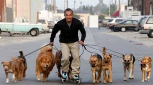 Best Dog Whisperer Tips from Cesar Millan