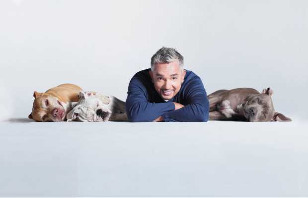 Best Dog Whisperer Tips from Cesar Millan