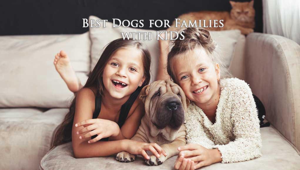 Best Dogs for Families with Kids