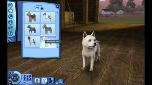 Video Games Dog Owners Will Enjoy