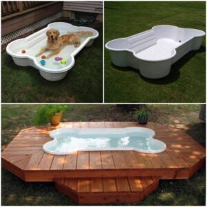 What Makes a Good Dog Pool?