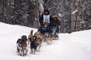 Dog Sled Technology is Getting an Upgrade