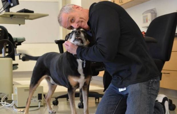 Dog Used to Sniff Out Thyroid Cancer