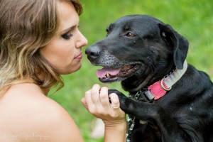 Essential Tips on Dog Training Basics