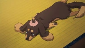 Most Awesome Dogs in Anime