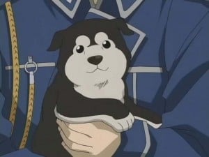 Most Awesome Dogs in Anime