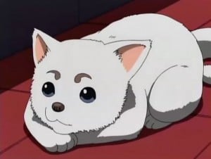 Most Awesome Dogs in Anime