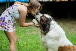 Must-Know Dog Training Tips