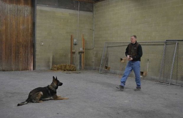 Police Officer Helps Start Dog Training Association