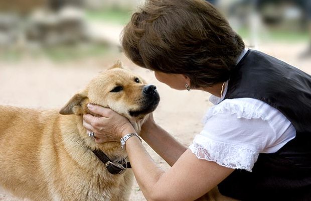 Study Shows Dogs Understand Our Words Not Just Our Voices