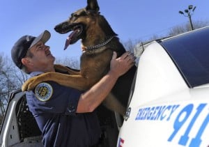 Tennessee Police K-9 Killed By Bank Robber Inspires New Law