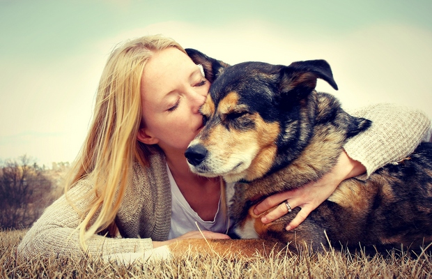 More Pet Stores Are Going With the One-Stop-Shop Mentality