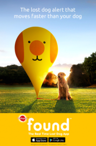 Google and Pedigree Team Up to Help Find Lost Dogs