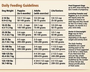 How to Read Dog Food Labels