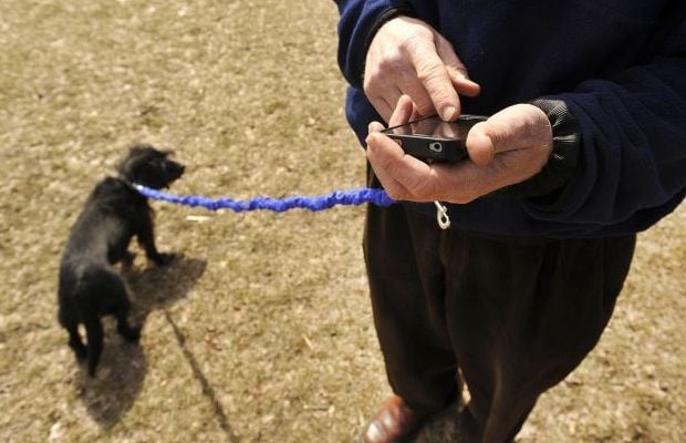 Inventor Reimagines the Standard Dog Leash