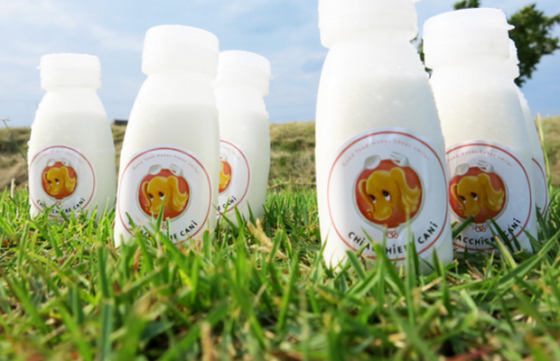 Japanese Goat Milk Specially Made for Dogs