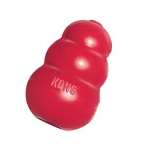 KONG Toy Blamed for This Dog's Illness