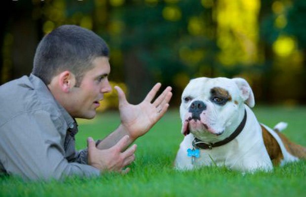 New Technology Helps Us Understand What Dogs Are Trying to Tell Us