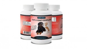 Owners Report Great Results From New Dog Arthritis Supplement