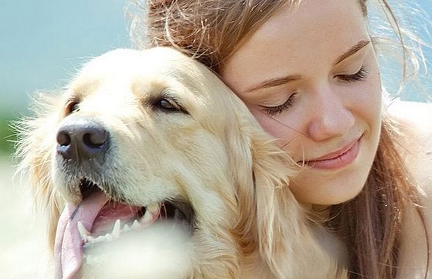 Owners Report Great Results From New Dog Arthritis Supplement