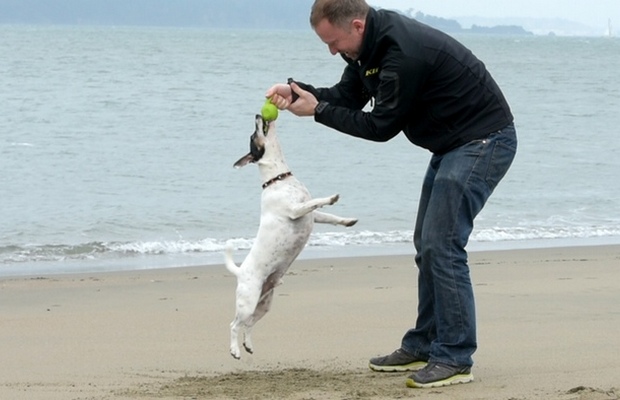 Paww is Trying to Reinvent the Dog Toy With the Help of Crowdfunding