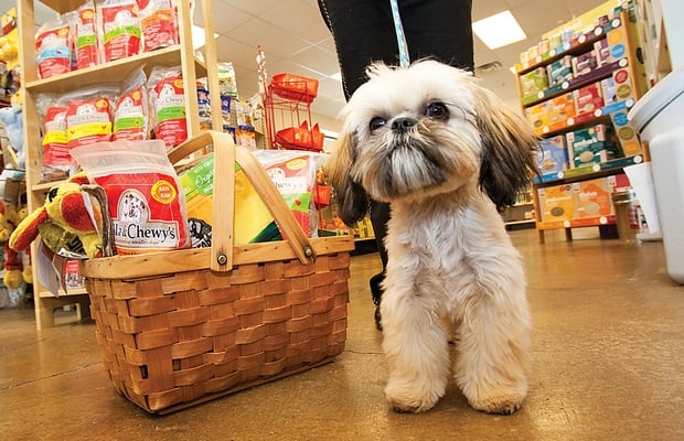 Pet Valu Doing $4 Million Overhaul to Jack's Pets Locations