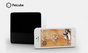 Petcube Lets Dog Owners Interact With Their Pets Remotely