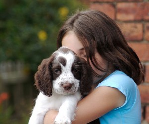 Puppy Training 101 - Obedience Training for Puppies