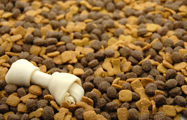 Senators Want FDA to Crack Down on Pet Food Oversight