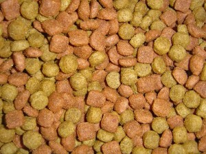 Small Pet Food Manufacturer in Texas Ships All Around the World