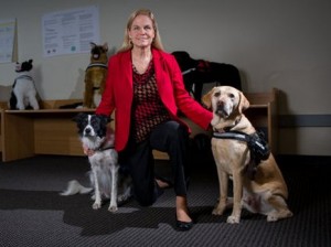 Technologically Advanced Vest Gives Service Dogs an Upgrade