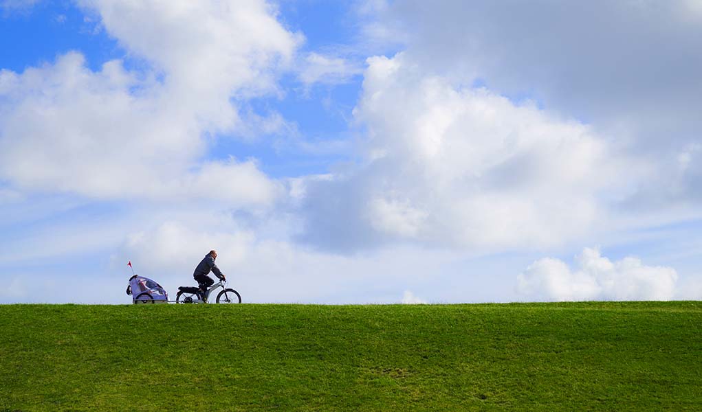 The best dog trailer for bike and bicycles