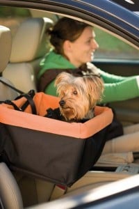 Tips for Traveling with Your Dog