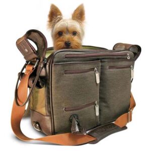 Tips for Traveling with Your Dog