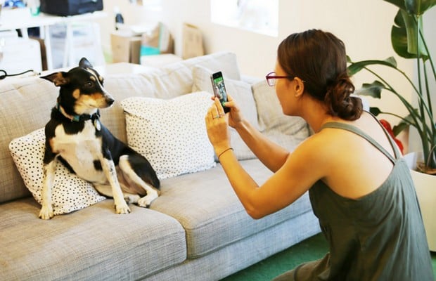 BarkCam Lets You Take Better Pictures of Your Dog