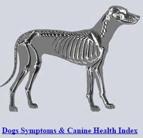 K9-wellbeing.net Dog Symptom Checker for Pets