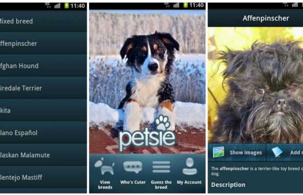 Best Pet Apps for Dog Owners