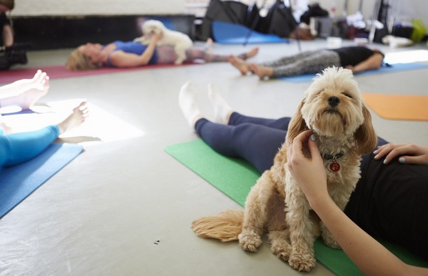 Doga is Making Working Out A Lot More Fun